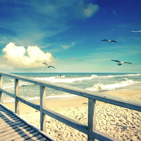 With Garden, Close To The ساربينوفو