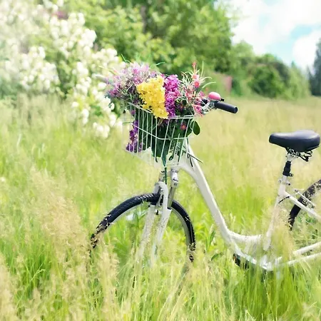 With Garden, Close To The * ساربينوفو