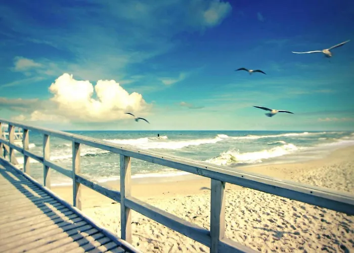 With Garden, Close To The Sarbinowo